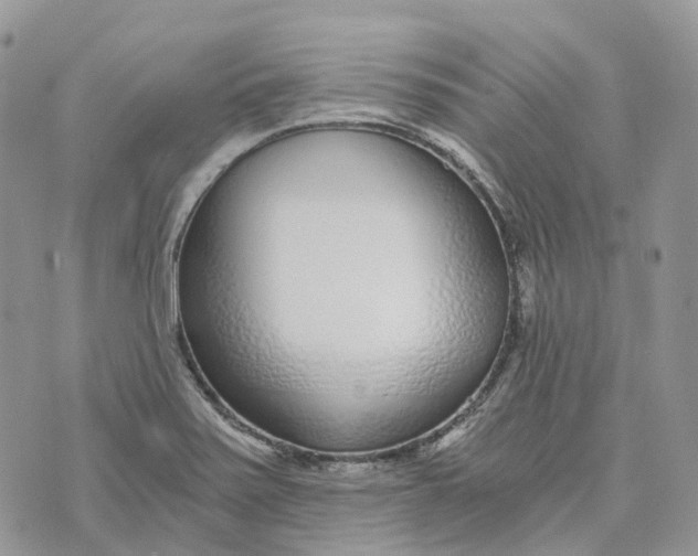 X0000072951371200608111615