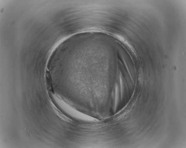 X0000072951372200608111615