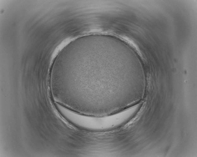 X0000072951373200608111615