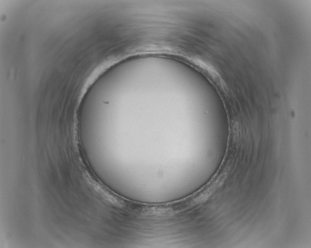 X0000072951374200608111615