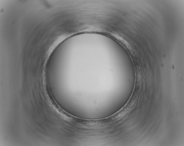 X0000072951375200608111615