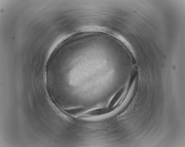 X0000072951376200608111615