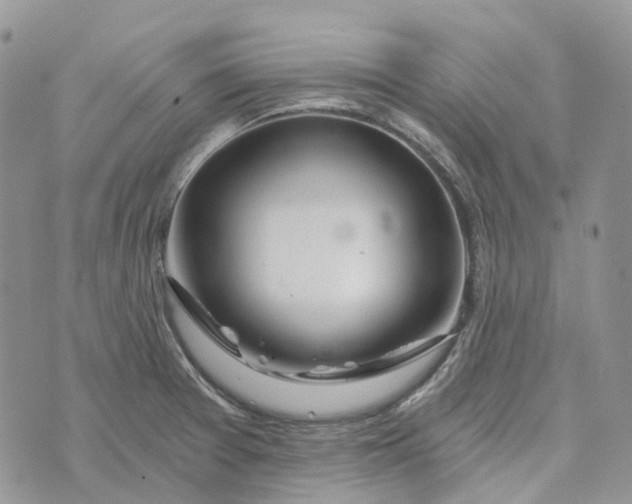 X0000072951377200608111615