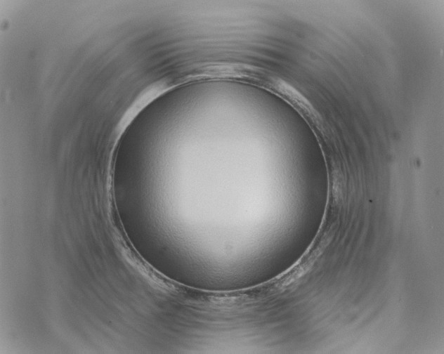 X0000072951378200608111615