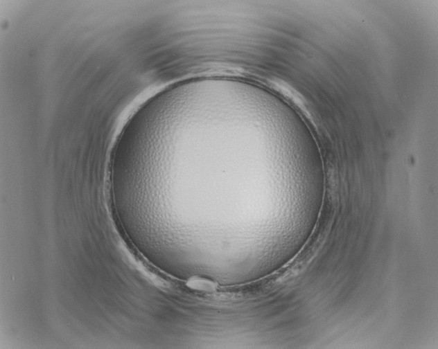 X0000072951379200608111615