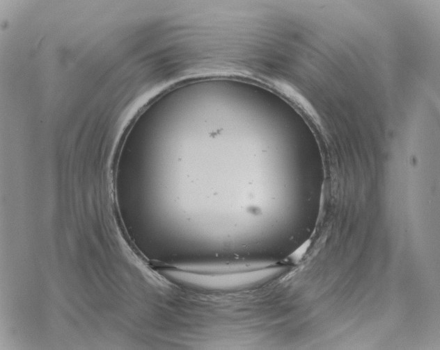 X0000072951380200608111615