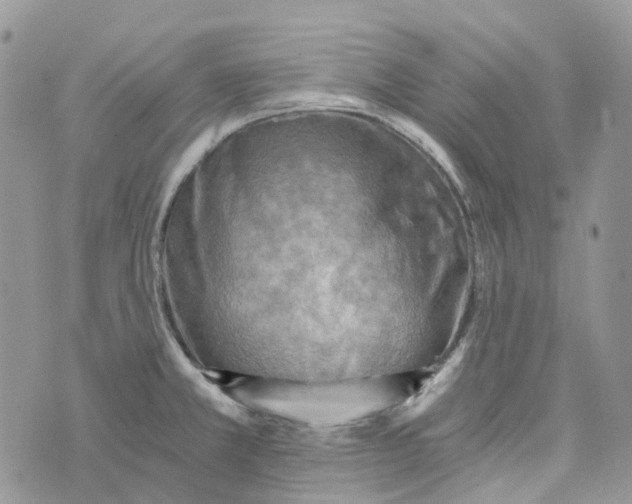 X0000072951381200608111615