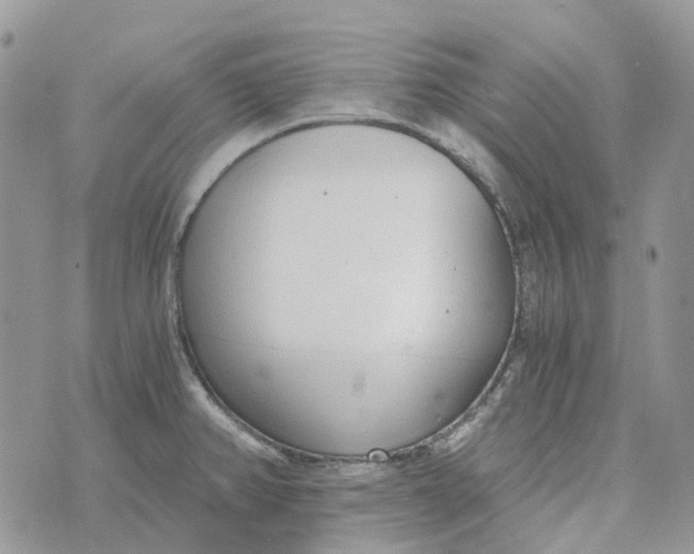 X0000072951382200608111615