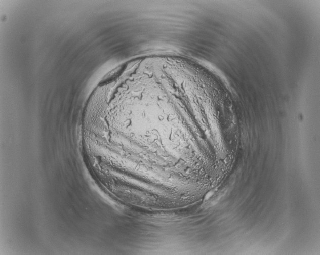 X0000072951383200608111615