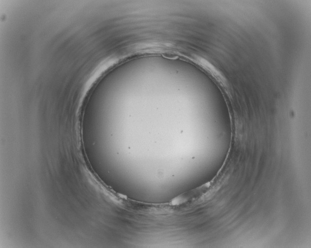 X0000072951384200608111615