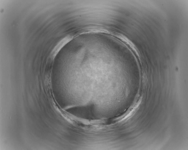 X0000072951385200608111615