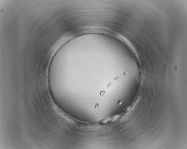 X0000072951386200608111615