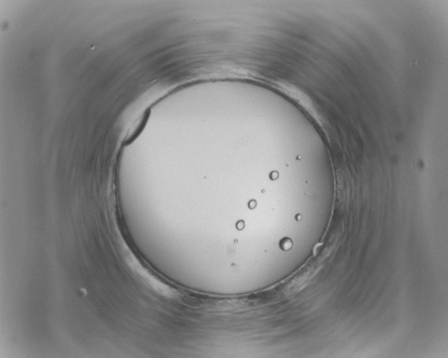 X0000072951387200608111615