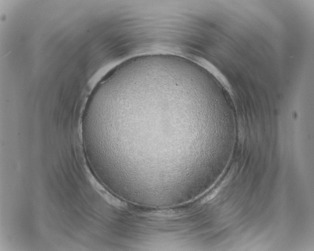 X0000072951388200608111615