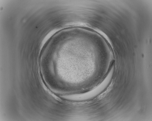 X0000072951389200608111615