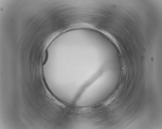 X0000072951390200608111615