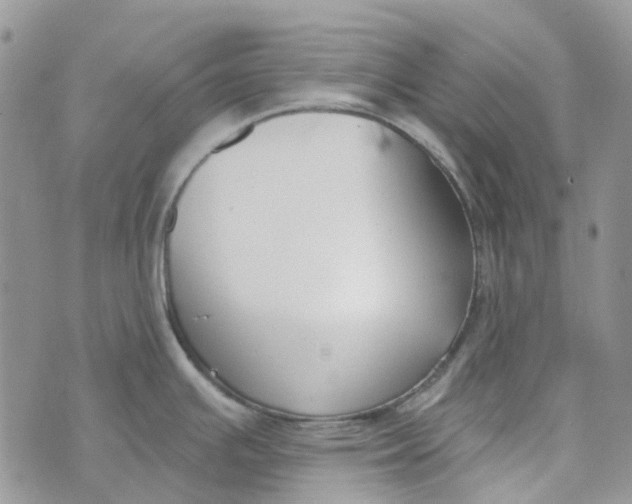 X0000072951391200608111615