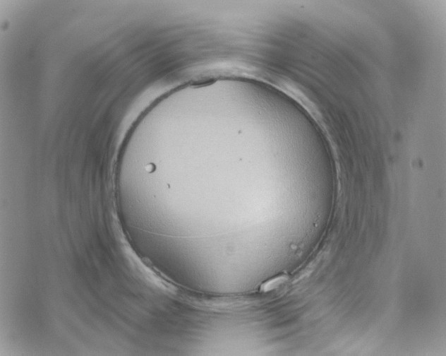 X0000072951392200608111614