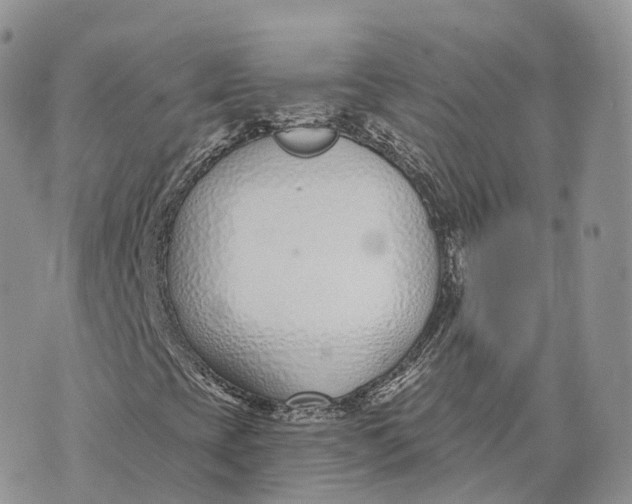 X0000072951393200608111614