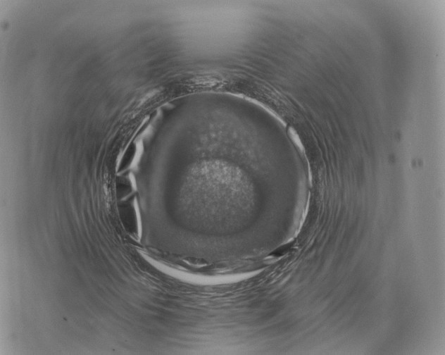 X0000072951394200608111614