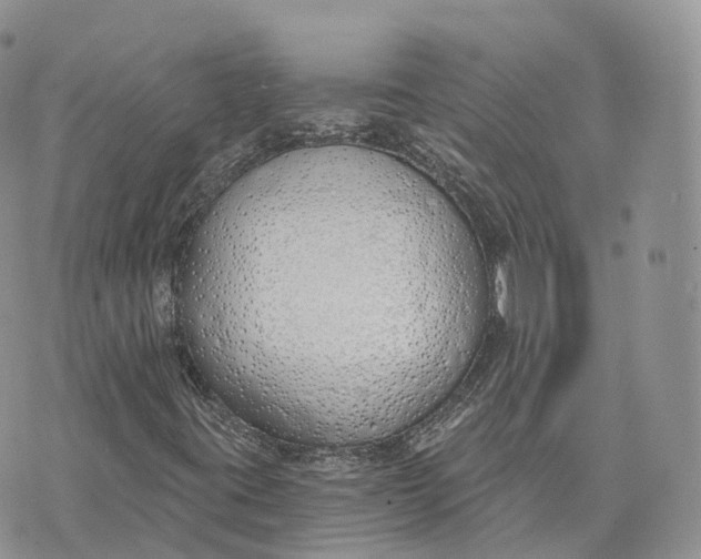 X0000072951395200608111614