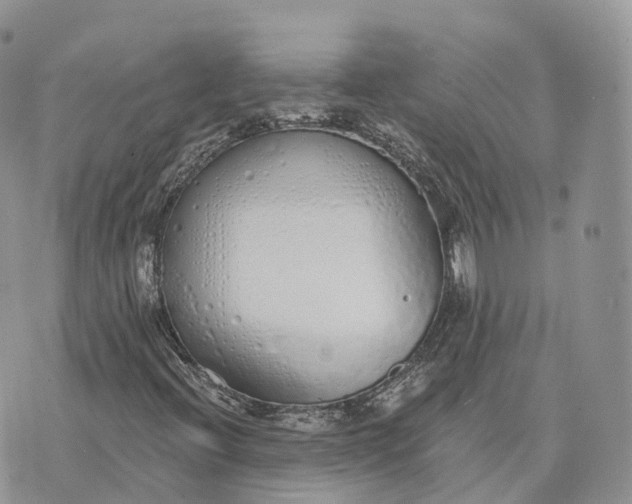 X0000072951396200608111614