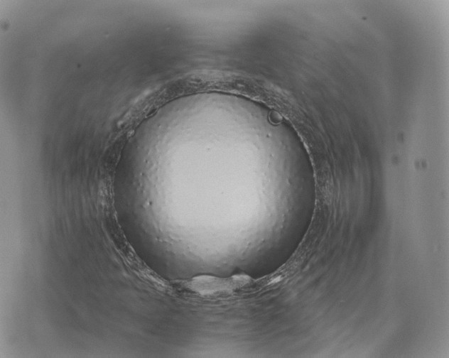 X0000072951397200608111614