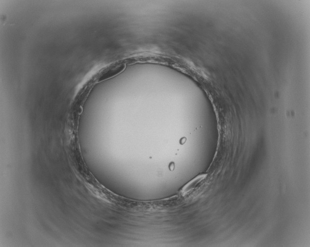 X0000072951400200608111614