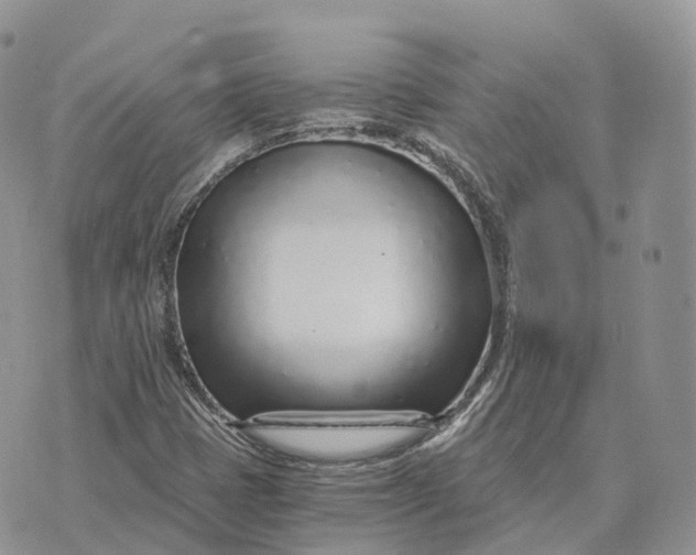 X0000072951401200608111614