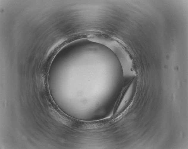 X0000072951402200608111614