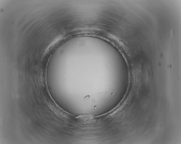 X0000072951403200608111614