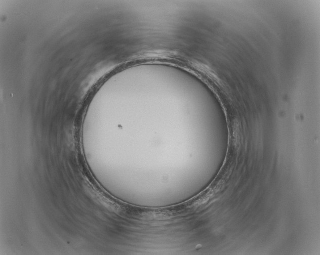 X0000072951404200608111614