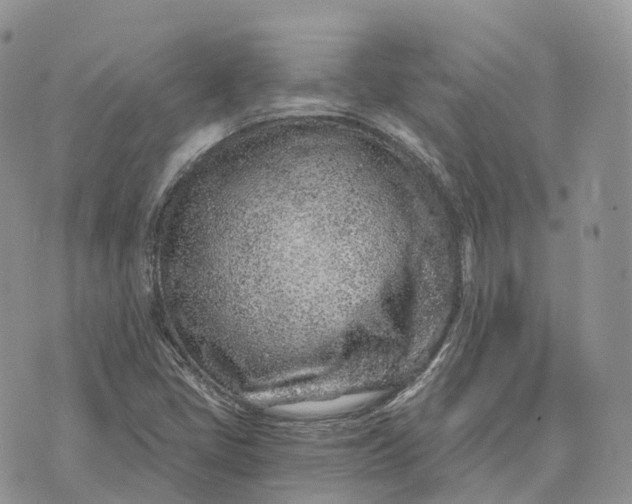 X0000072951405200608111614