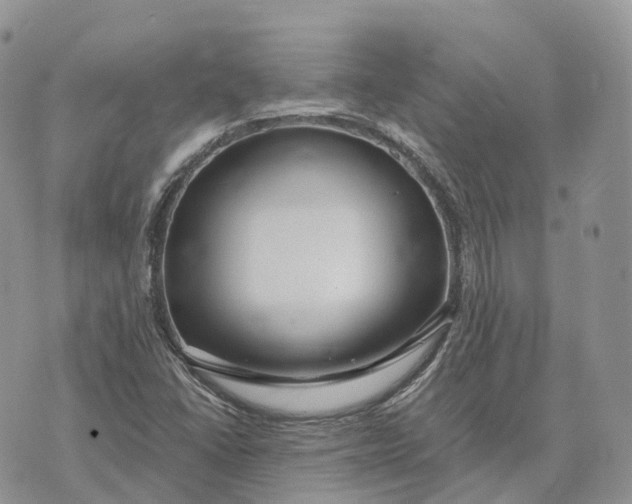 X0000072951406200608111614