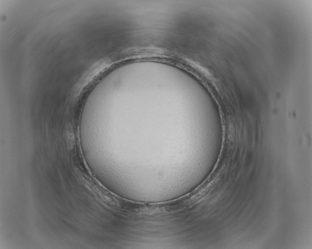 X0000072951407200608111614