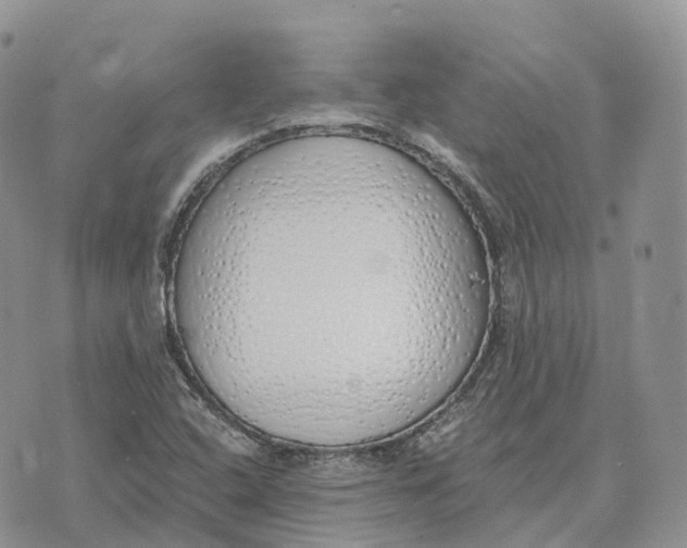 X0000072951408200608111614