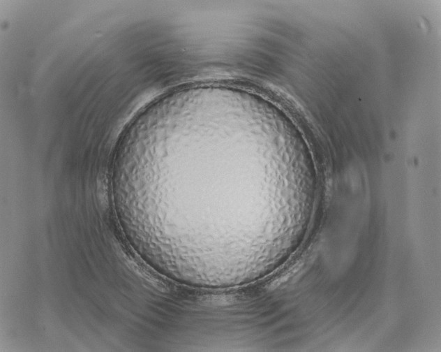 X0000072951409200608111614