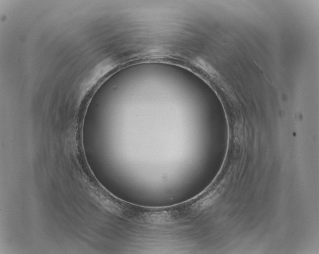 X0000072951410200608111614