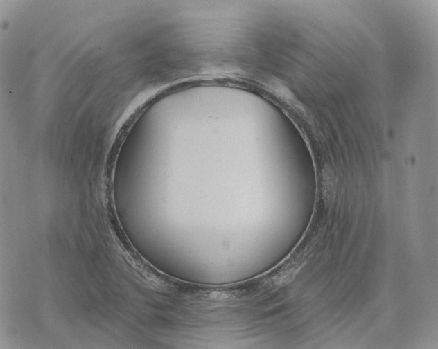 X0000072951412200608111614