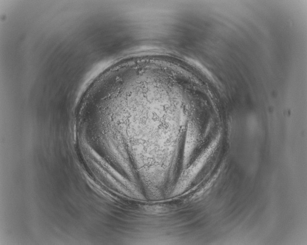 X0000072951413200608111614