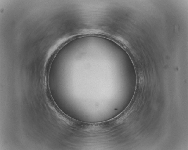 X0000072951414200608111614