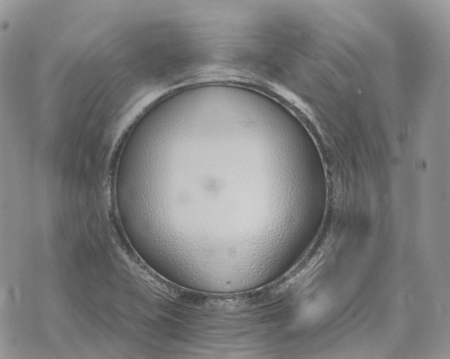 X0000072951415200608111614