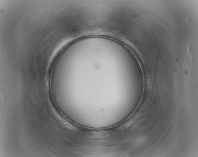 X0000072951416200608111614