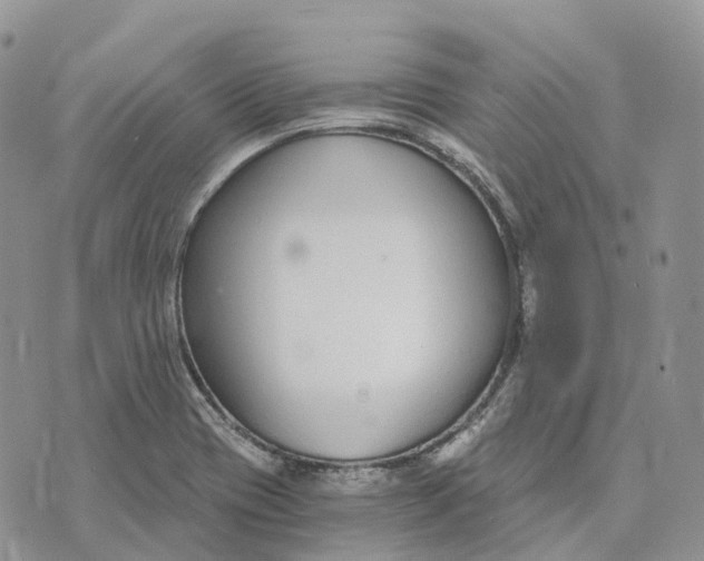 X0000072951417200608111614