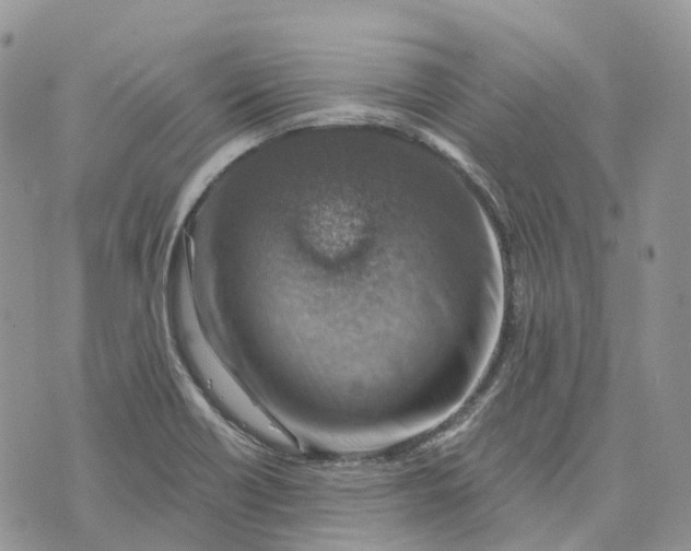 X0000072951418200608111614