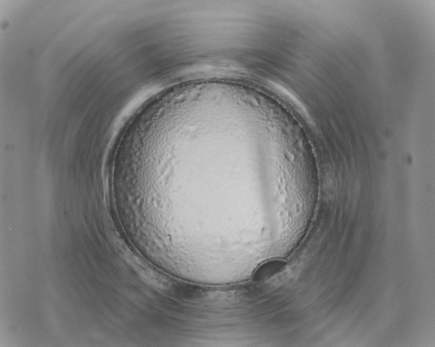 X0000072951419200608111614