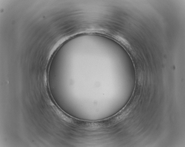 X0000072951420200608111614