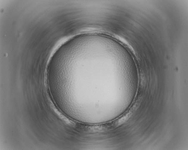 X0000072951421200608111614