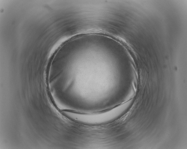 X0000072951422200608111614