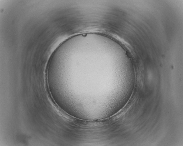 X0000072951423200608111614